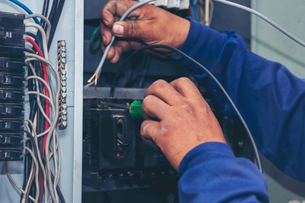 Best Electric Panel Repair  in Clio, MI