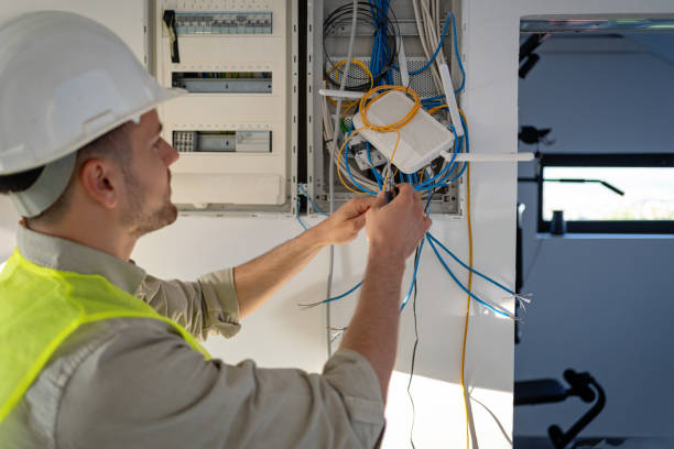 Best Ceiling Fan Installation Electrician  in Clio, MI
